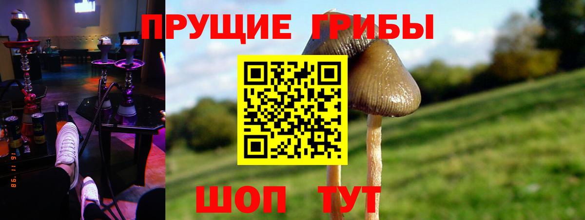 Псилоцибиновые грибы мухоморы Лабытнанги